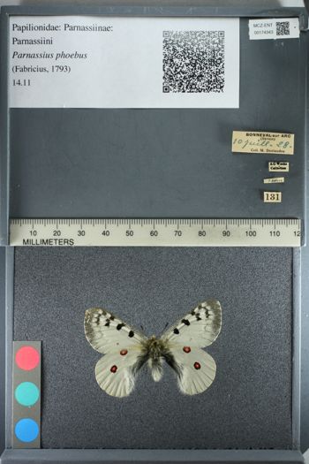 Media type: image;   Entomology 174343